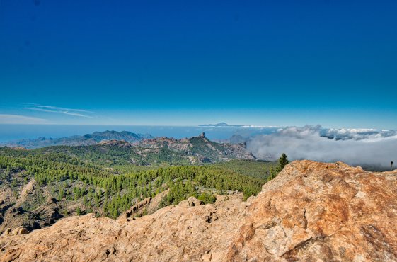 Gran Canaria Ausflug zum Aussichtspunkt Pico de las Nieves