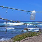 surfen_gran_canaria_nordkueste21.jpg