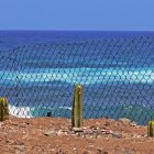 surfen_gran_canaria_nordkueste19.jpg