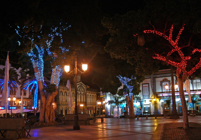 sightseeing-las-palmas-alameda-colon2.jpg
