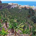 surfen_gran_canaria_nordkueste23.jpg