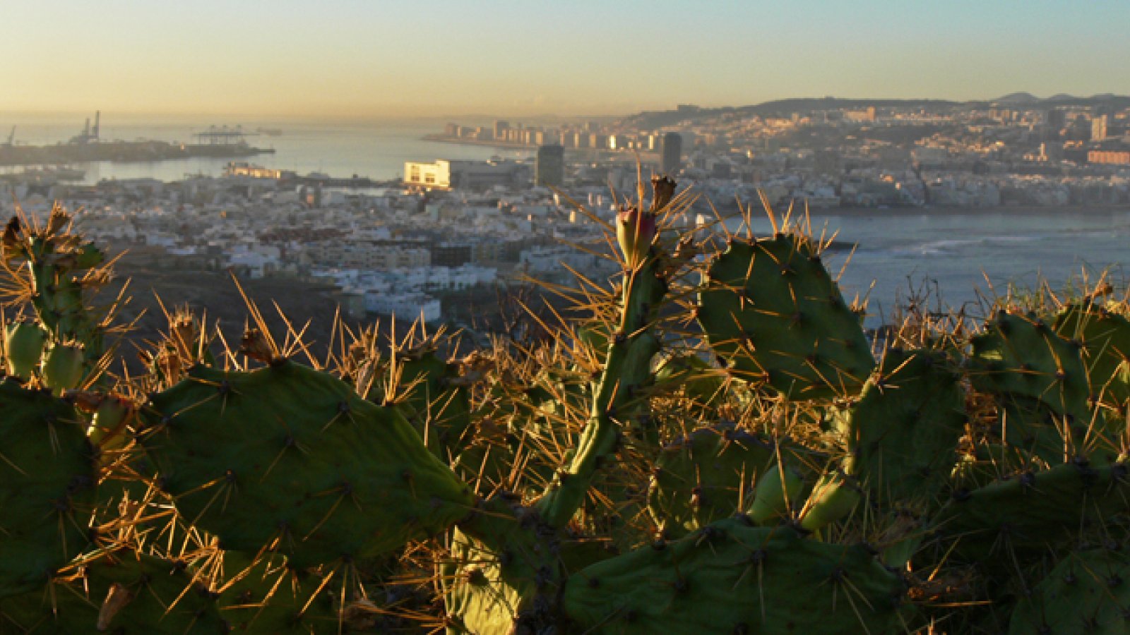 aussichtspunkte-las-palmas-confital5.jpg