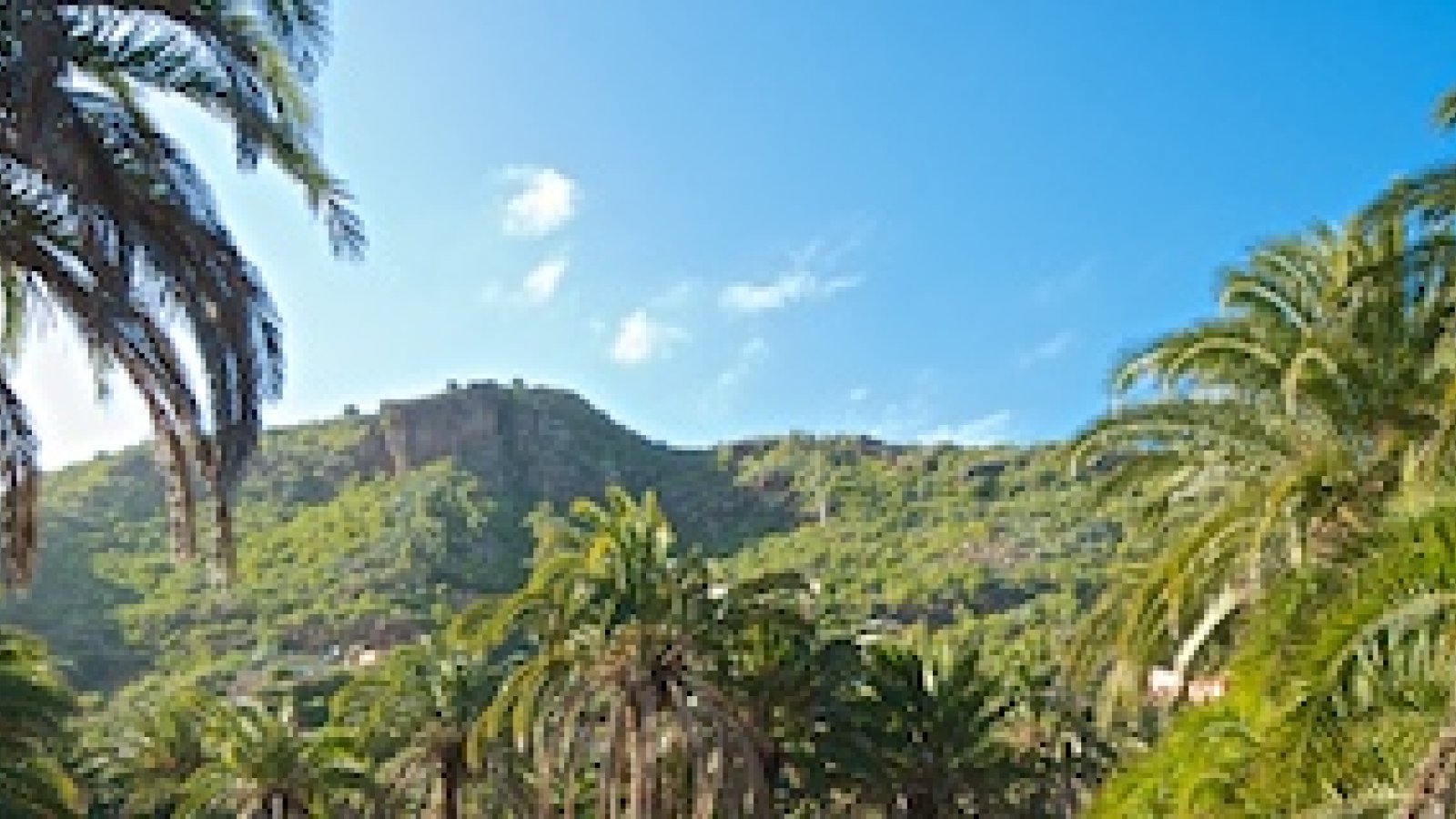Ausblick Botanischer Garten Las Palmas: Jardin Botanico Viera y Clavijo im Barranco de Guiniguada