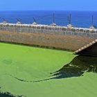 surfen_gran_canaria_nordkueste16.jpg