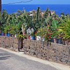 surfen_gran_canaria_nordkueste22.jpg