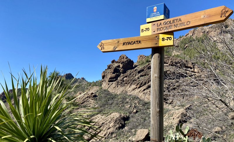 Wegkreuz Wanderweg S-70 Roque Nublo - La Goleta
