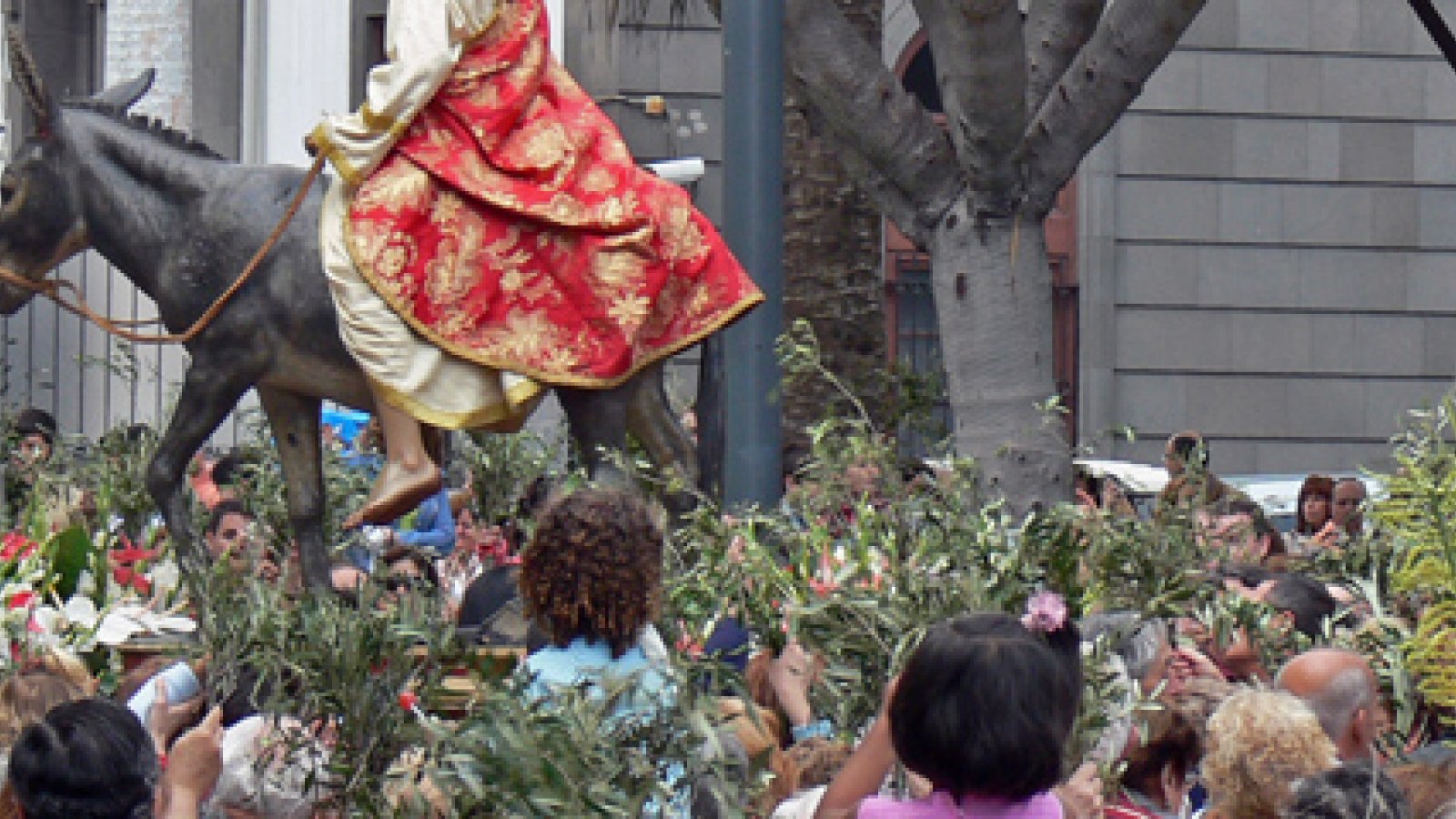 semana-santa-las-palmas-procesion-de-la-burritaI.jpg