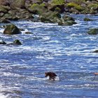 surfen_gran_canaria_nordkueste20.jpg