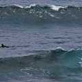 Windguru Gran Canaria Wellen Wind Wasser Vorhersage