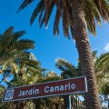 Ein Ausflug zum botanischen Garten von Las Palmas