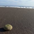 Strand La Laja im Süden von Las Palmas