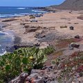Der Confital Strand - die Ruhe + Natur geniesen