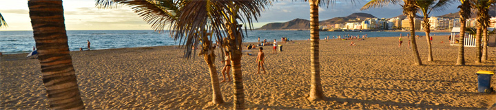 canteras-palm-beach-0078.jpg